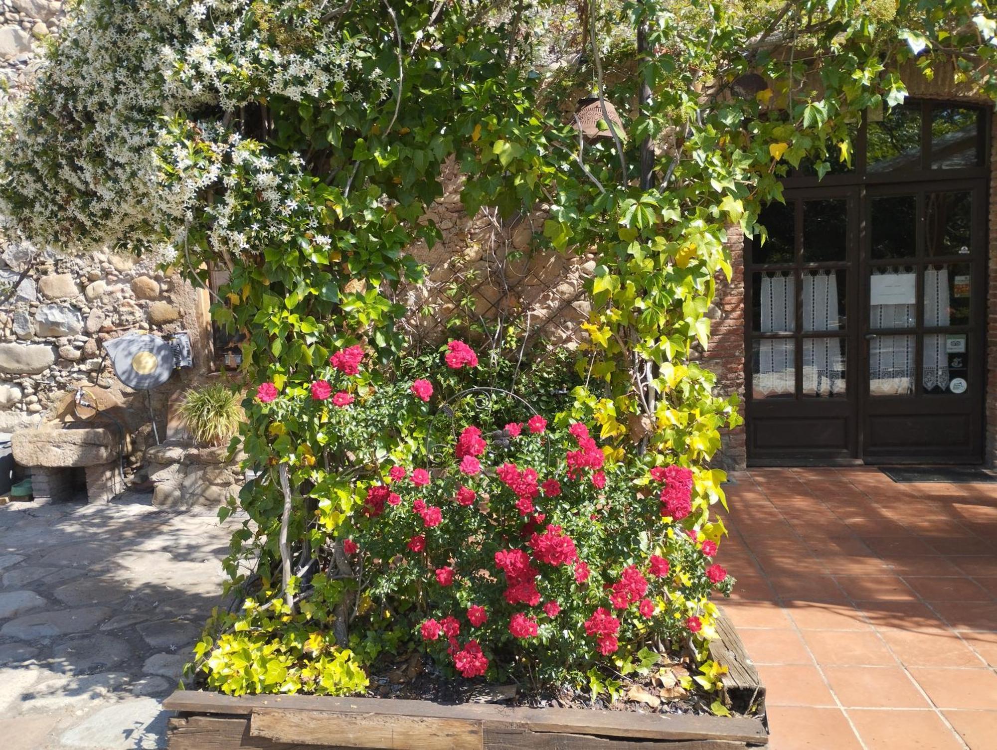 Casa Rural Can Jepet La Cellera de Ter Buitenkant foto
